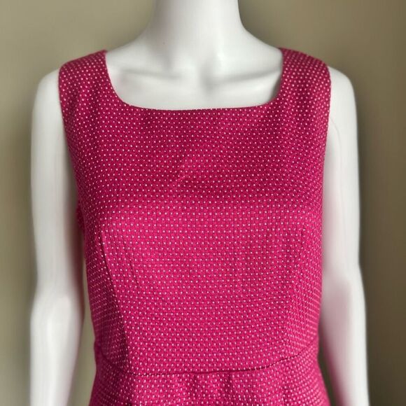 The Limited Polka Dot Shift Dress Pink & White Size 8 - Picture 4 of 9